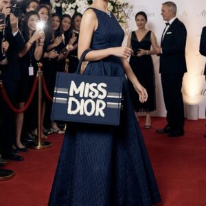  miss dior book tote with og box