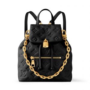 louiss vuitton montsouris mm backpack with dust cover 6319