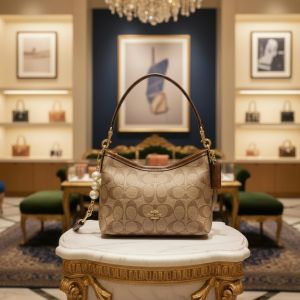 coac h laurel handbag with box 6109