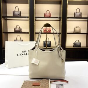 coac h day tote bag with dust bag & carry bag