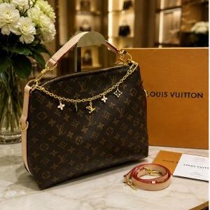 louiss vuitton multipass monogram handbag with box 6338