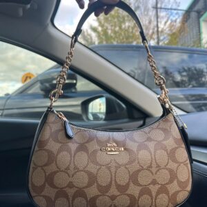coac h teri hobo bag with og box(c08821 apricot black)