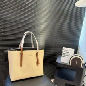 coach1199 mollie premium leather tote bag with og box & dust bag (white 1199)