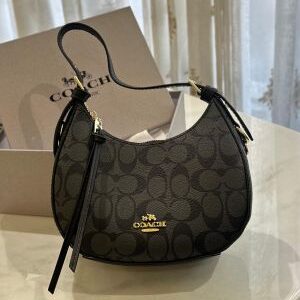 coac h kleo hobo bag in signature canvas bag with box 5672
