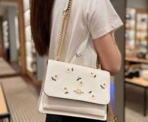 coac h crossbody lady bed with box 166