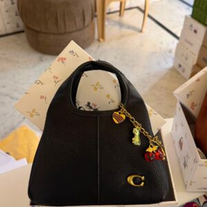 coac h lana shoulder bag with folding box with charm 6472
