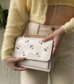 coac crossbody lady bed with box 166 coac crossbody lady bed with box 166