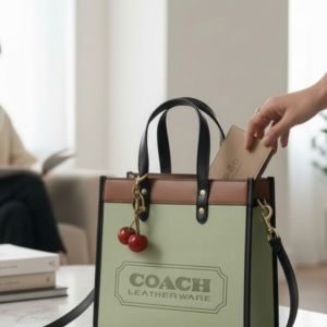 field tote 22 bag with og folding box with charm 6248