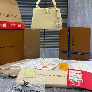 loui vuitton artycapucines nicholas hlobo premium packaging 6269