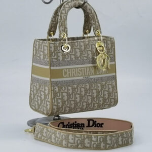 christian dio lady bag with brand box gry carry bag 6753